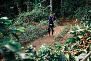 BIB: 
                            <button type="button" onclick="openModal(25857898)" class="btn btn-primary btn-sm float-right btn-popup" data-toggle="modal" data-target=".modal-high-quality">
                        <i class="fas fa-shopping-cart"></i> Add to Cart
                    </button>
                                            <button type="button" onclick="isThisMe(25857898, true)" class="btn btn-success btn-sm float-right btn-popup btn-isme hidden" data-toggle="tooltip" data-placement="bottom" title="นี่คือรูปของคุณใช่ไหม คลิกที่นี่เพื่อเอาเข้าอัลบั้ม">
                        <i class="fas fa-plus"></i> Add to album
                    </button>
                    <button type="button" onclick="isThisMe(25857898, false)" class="btn btn-warning btn-sm float-right btn-popup btn-isnotme hidden">
                        <i class="fas fa-ban"></i> Remove from album
                    </button>